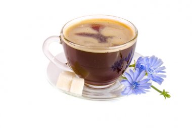 Hindiba Kupası ve beyaz arka plan üzerinde izole hindiba çiçek