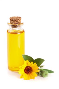 aromaterapi Uçucu yağ kadife çiçeği çiçek izole beyaz arka plan ile