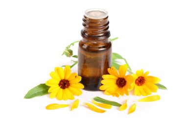 aromaterapi Uçucu yağ kadife çiçeği çiçek izole beyaz arka plan ile