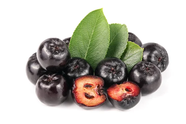 Chokeberry yaprak beyaz arka plan üzerinde izole. Siyah aronia çilek
