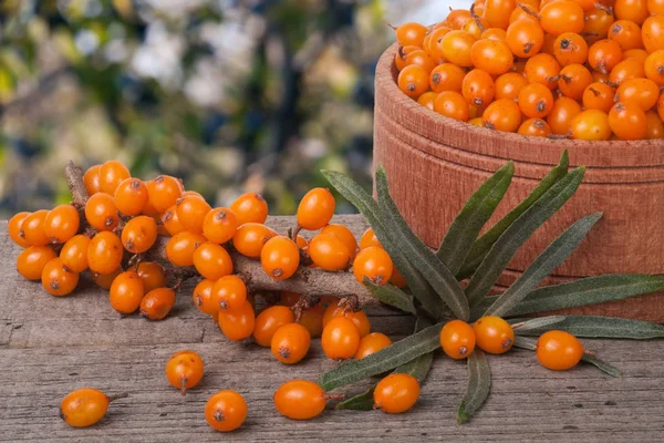 Sanddornbeeren in einer hölzernen Schüssel auf dem Tisch mit verschwommenem Gartenhintergrund — Stockfoto