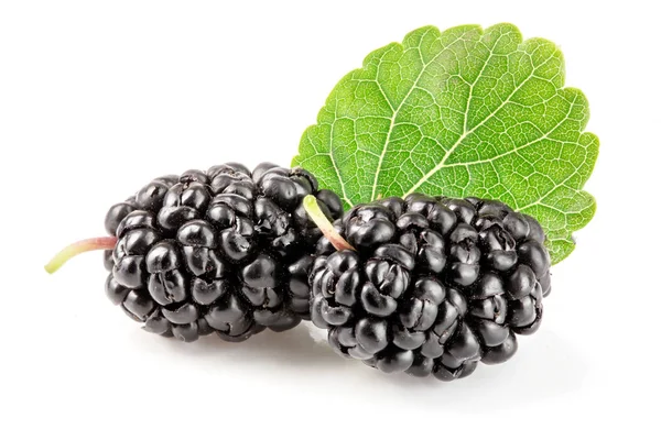 Beyaz arka planda yaprak izole edilmiş dut üzümü