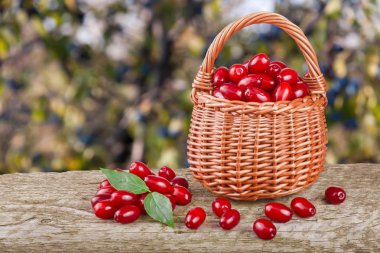 Kızılcık berry sepet bulanık bir bahçe arka plan ile ahşap masa üzerinde yaprak ile