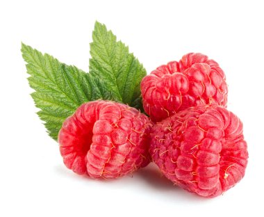 Ahududu Yaprağı üzerinde beyaz arka plan makro izole