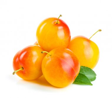 Yaprak Beyaz arka plan üzerinde izole sarı Erik