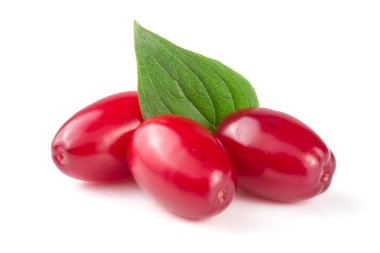 Beyaz arka plan üzerinde izole yaprak ile kızılcık berry