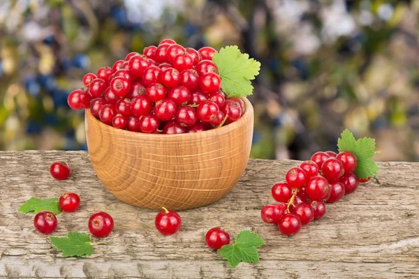 Red currant berries in wooden bowl on wooden table with blurry garden background — Stock Photo, Image