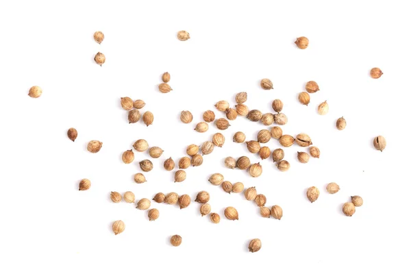 Coriander seeds isolated on white background top view — Stock Photo, Image