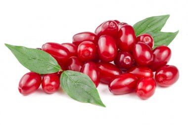 Beyaz arka plan üzerinde izole yaprak ile kızılcık berry