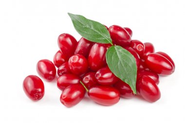 Beyaz arka plan üzerinde izole yaprak ile kızılcık berry
