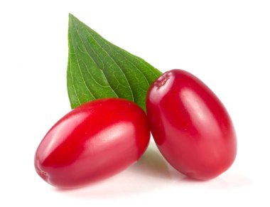 Beyaz arka plan üzerinde izole yaprak ile kızılcık berry