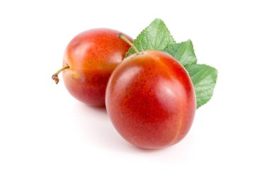 Beyaz arka plan üzerinde izole yaprakları ile kırmızı Erik