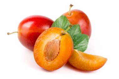 Kırmızı Erik yarısı beyaz arka plan üzerinde izole yaprakları ile sona