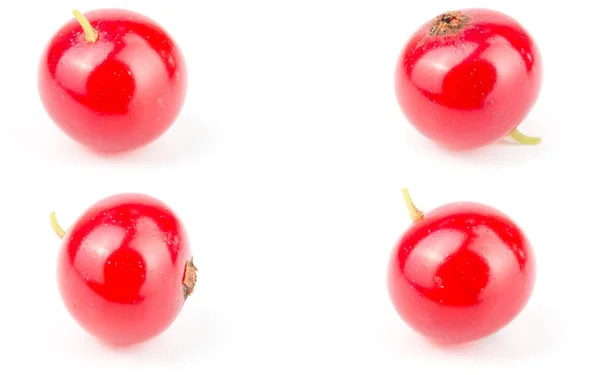 Rote Johannisbeere isoliert auf weißem Hintergrund. Set oder Kollektion — Stockfoto