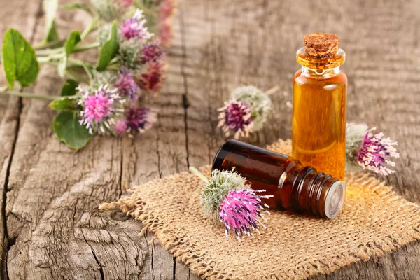 Aceite de bardana en botella de vidrio y flores de bardana aisladas sobre fondo blanco — Foto de Stock