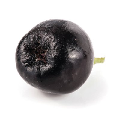 Beyaz arka plan üzerinde izole chokeberry. Siyah aronia çilek