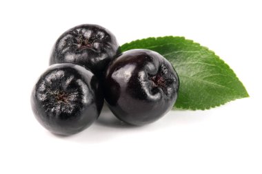 Chokeberry yaprak beyaz arka plan üzerinde izole. Siyah aronia çilek