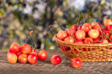 Bulanık bir bahçe arka plan ile ahşap bir masa üzerinde bir hasır sepet içinde sarı kiraz