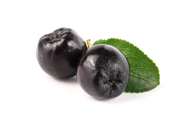 Chokeberry con hoja aislada sobre fondo blanco. Bayas de aronia negra — Foto de Stock