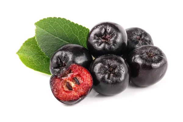 Chokeberry yaprak beyaz arka plan üzerinde izole. Siyah aronia çilek
