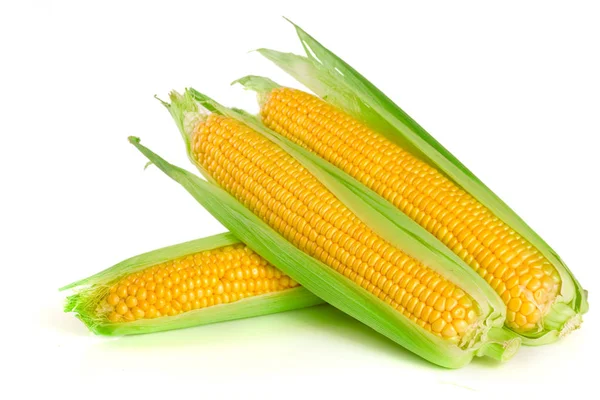 Ухо кукурузы изолированы на белом фоне — стоковое фото