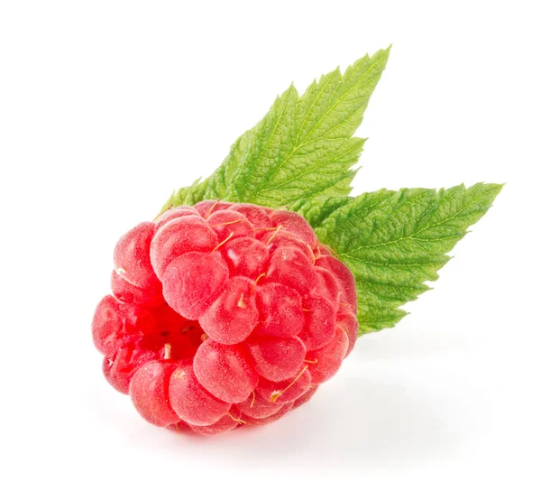 One raspberry with leaf isolated on white background macro — Stock Photo, Image