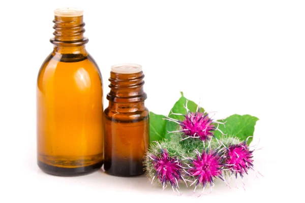 Burdock oil in glass bottle and burdock flowers isolated on white background — Stock Photo, Image