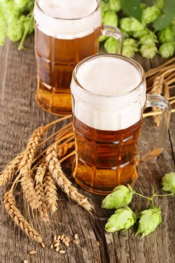 bardak köpüklü bira hop koniler ve eski ahşap zemin üzerine buğday ile