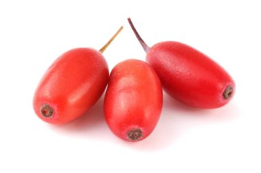 Beyaz bir arka plan üzerinde izole taze kızamık