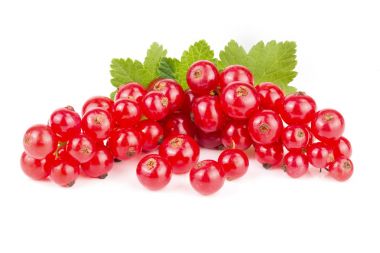 Red currant berries with leaf isolated on white background clipart