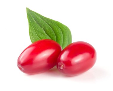 Beyaz arka plan üzerinde izole yaprak ile kızılcık berry