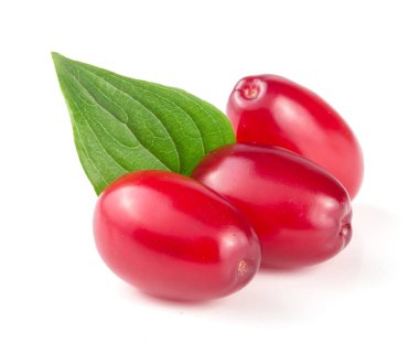 Beyaz arka plan üzerinde izole yaprak ile kızılcık berry