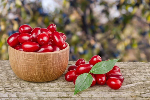 Kızılcık berry yaprak kase bulanık bir bahçe arka plan ile ahşap tablo