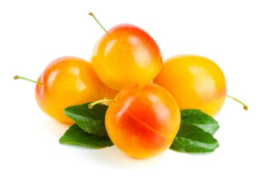 Yaprak Beyaz arka plan üzerinde izole sarı Erik