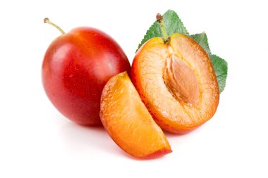 yarısı yaprakları ile beyaz arka plan üzerinde izole kırmızı Erik bitiş