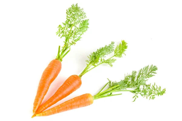Warzywa marchewkowe z liśćmi wyizolowanymi na białym tle — Zdjęcie stockowe