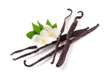 Çiçek ve yaprak beyaz arka plan üzerinde izole ile vanilya çubukları