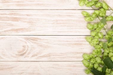 Beyaz ahşap zemin üzerinde taze yeşil hop külah. Bira üretimi için madde. Metniniz için kopya alanı ile Üstten Görünüm