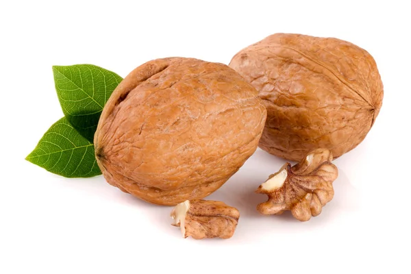 Nueces con hoja aislada sobre fondo blanco — Foto de Stock