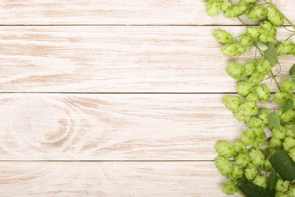 Beyaz ahşap zemin üzerinde taze yeşil hop külah. Bira üretimi için madde. Metniniz için kopya alanı ile Üstten Görünüm
