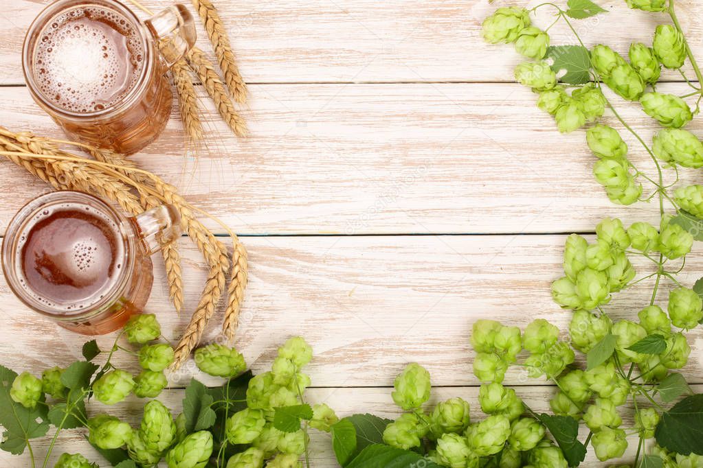 glass of foamy beer with hop cones and wheat on white wooden background. Top view with copy space for your text