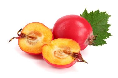 Hawthorn berry izole beyaz arka plan yakın çekim yaprak ile