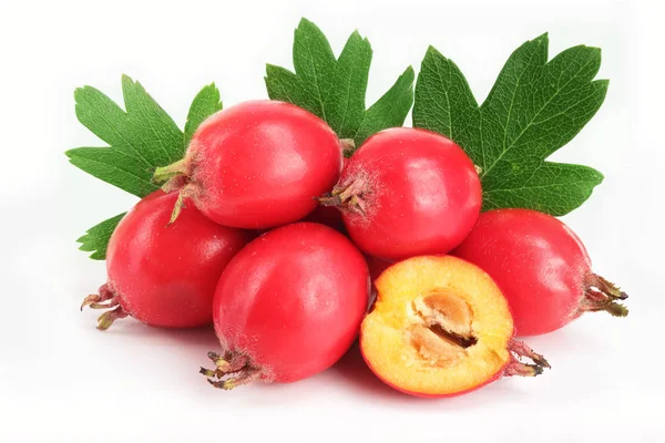 Hawthorn berry izole beyaz arka plan yakın çekim yaprak ile