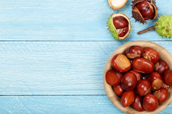 kestane kase kopya alanı metni mavi ahşap zemin üzerine. Üstten Görünüm