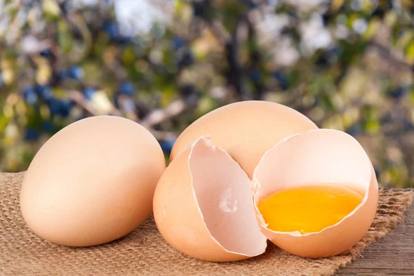 Kırık yumurta sarısı ve bulanık bir bahçe arka plan ile ahşap bir masa üzerinde yumurta kabuğu ile