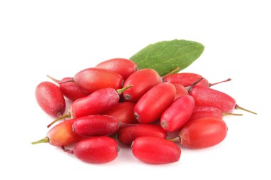 Beyaz bir arka plan üzerinde izole yaprakları ile taze kızamık