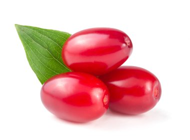 Beyaz arka plan üzerinde izole yaprak ile kızılcık berry