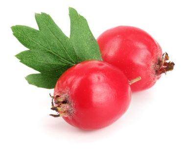 Hawthorn berry izole beyaz arka plan yakın çekim yaprak ile