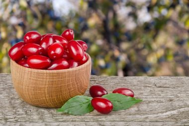 Kızılcık berry yaprak kase bulanık bir bahçe arka plan ile ahşap tablo