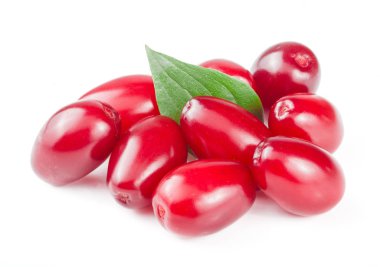 Beyaz arka plan üzerinde izole yaprak ile kızılcık berry